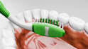 create 3d dental animation 3d dental video 3d teeth animation 3d medical video