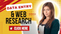 be your virtual assistant for data entry, copy paste and web research