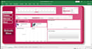 provide professional ms excel data entry, and formulas