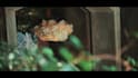 stunning cinematic video editing