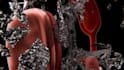 do 3d product rendering, modelling and product animation