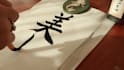 write perfect japanese calligraphy for words, logo, tattoo