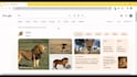 create browser automation with ui vision rpa and python