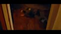 create a cinematic paranormal horror video book trailer