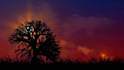do a love spell casting for you to get ex back for a lasting relationship