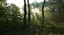create epic orchestral soundtrack
