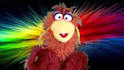 have felix the phoenix create a custom puppet video