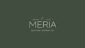 design elegant minimalist typography logo
