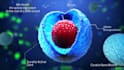 make 3d medical animation