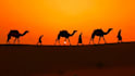 compose arabic, indian, middle east, ethnic music for you