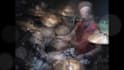 do drum tracks for your song