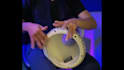 record a professional darbuka, dumbek or egypt tabla