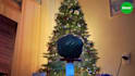 make cool christams greeting video