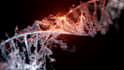do any 3d design in cinema 4d or blender