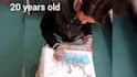 teach DIY crafts, drawing and painting online