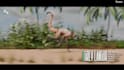 create 3d models, 3d characters and 3d motion graphics