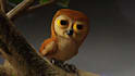 create stylized 3d animal character modeling