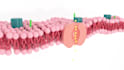 do 3d medical and scientific modeling and animation
