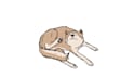 create 2d animated gifs
