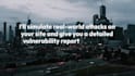 do website penetration testing and vulnerability assessment