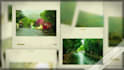 do any photography for you
