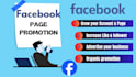 boost your facebook page with organic promotion