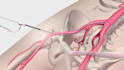 make any 3d medical animation, device animation, modeling, scienstific animation