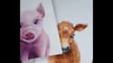 draw watercolor cute animals and cards