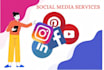 be your social media marketing manager and content creator