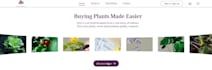 design animated website headers, banners and sliders