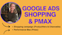 set up and optimize your shopping and or pmax campaign in google ads