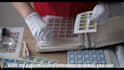 do accurate data entry and data manipulation tasks