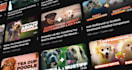 design attractive thumbnail youtube videos