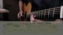 record the cleanest HQ acoustic steel string guitar track