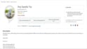 create an amazon alexa radio streaming skill with echo