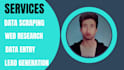 do professional  web scraping and data extraction