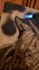 make original paintings and deliver it to you