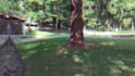 stabilize your favorite video footage