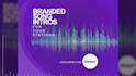 make branded song intro with artist id for your radio