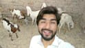 wish happy birthday and sing happy birthday song funny style