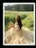 create a stunning slideshow video for any occasion