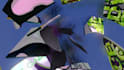make a 3d cd animation for you