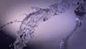 do 3d liquid simulation, 3d water splash, water animation, fluid simulation, cgi