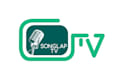 do logo 2d animation