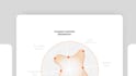 do saas explainer video, saas product video and app promo
