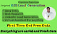 do b2b lead generation, copy paste, and VA for data entry