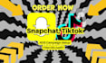 create, setup your snapchat ads, tiktok ads campaign