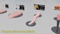 make any 3d size comparison video