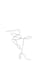 create a simple line animation video