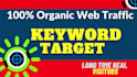 drive USA organic web traffic with google keywords target